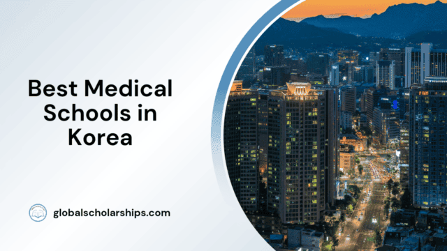 Best Medical Schools in Korea