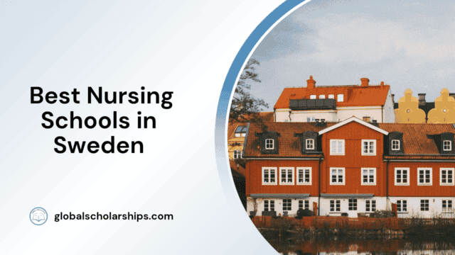 Best Nursing Schools in Sweden
