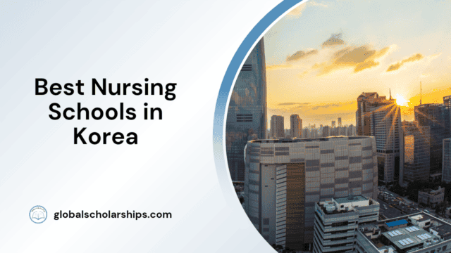 Best Nursing Schools in Korea