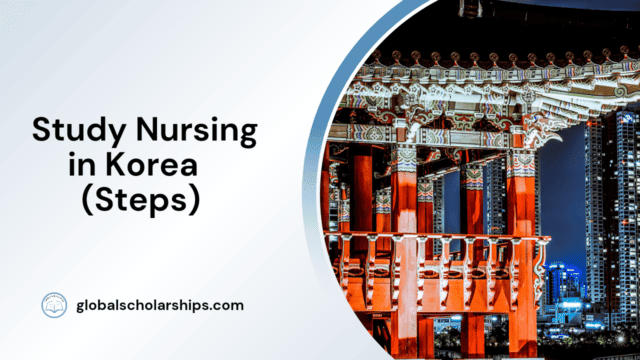Study Nursing in Korea (Steps)