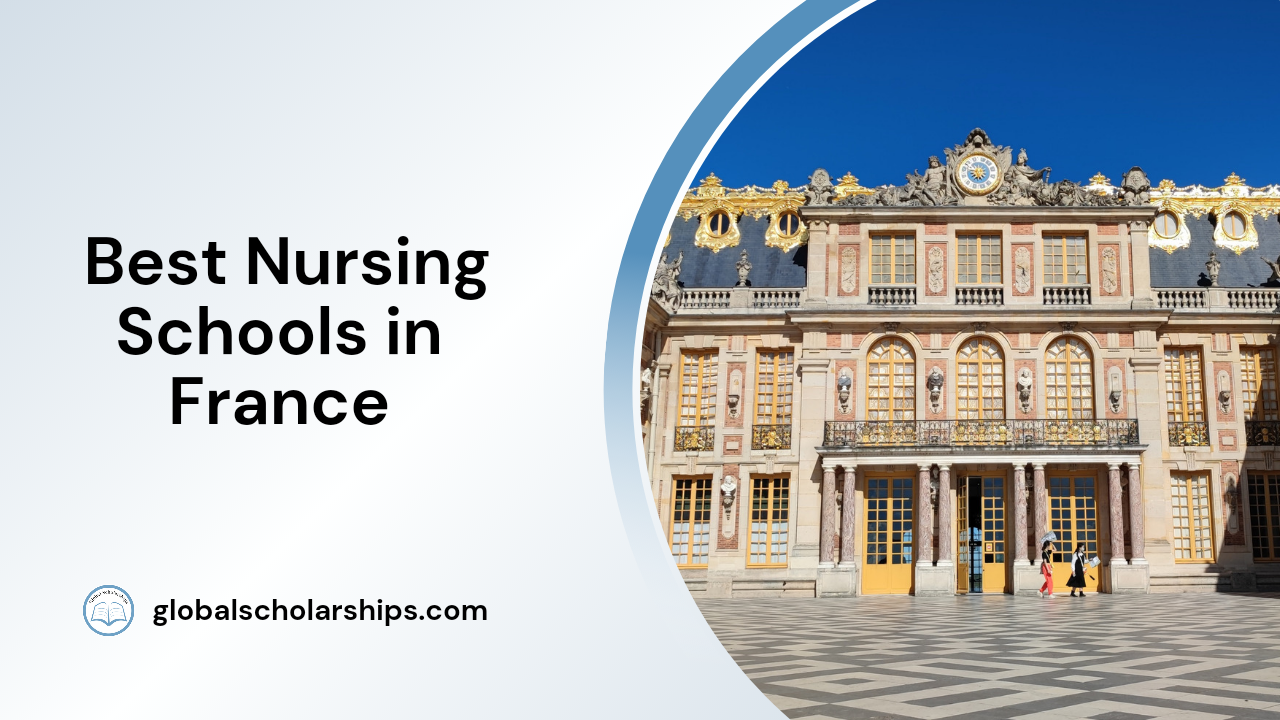 5 Best Nursing Schools in France Global Scholarships