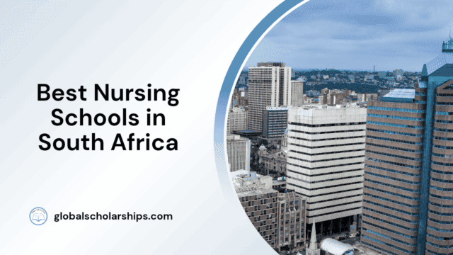 Best Nursing Schools in South Africa