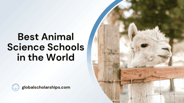 Best Animal Science Schools in the World