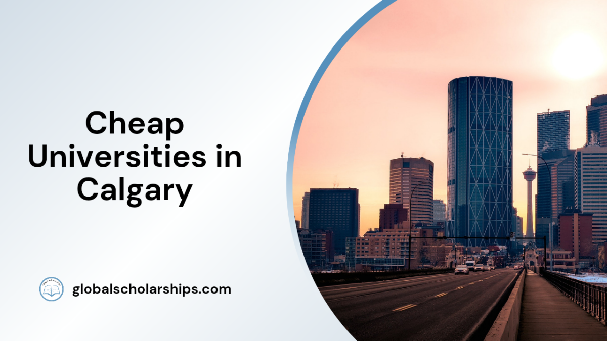 7 Cheap Universities in Newfoundland and Labrador Global Scholarships