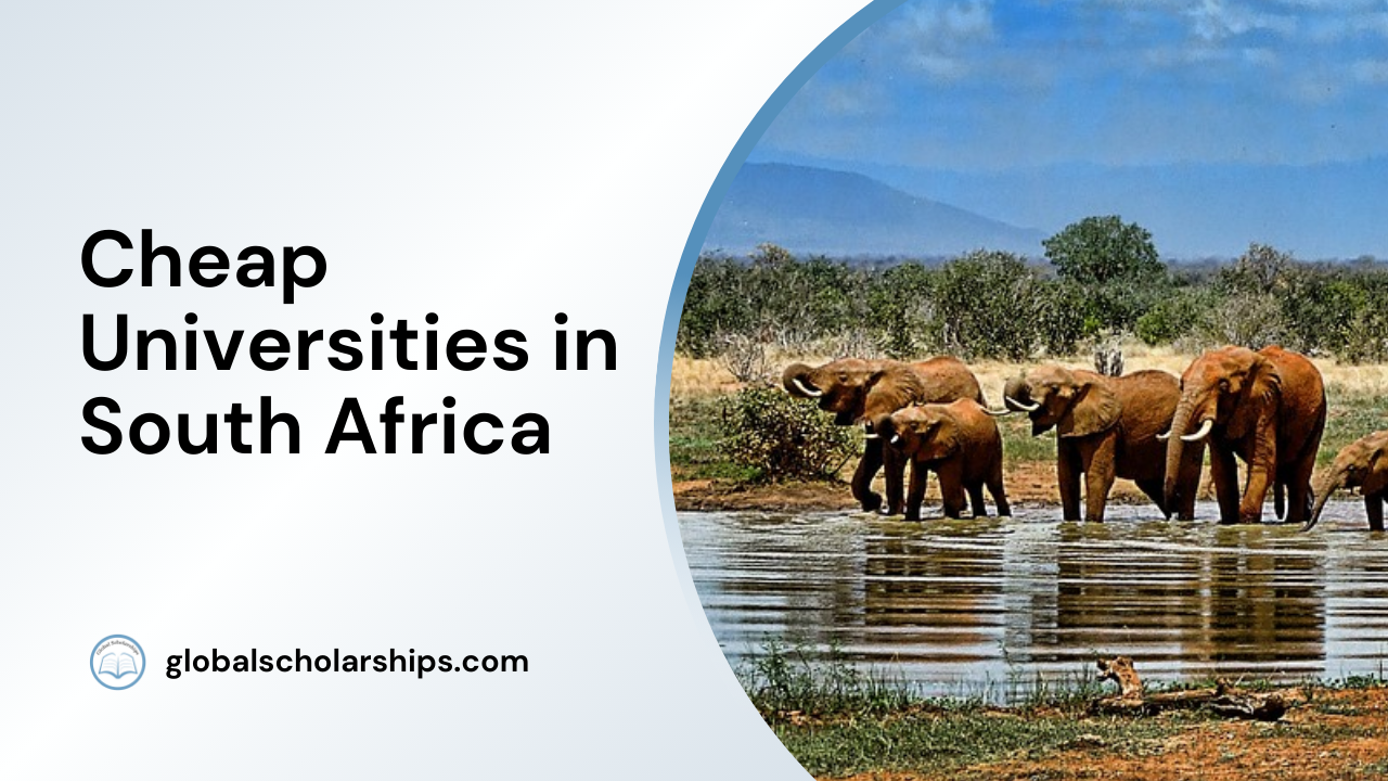Cheap Universities in South Africa