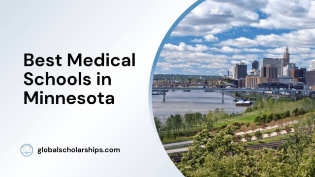 Best Medical Schools in Minnesota