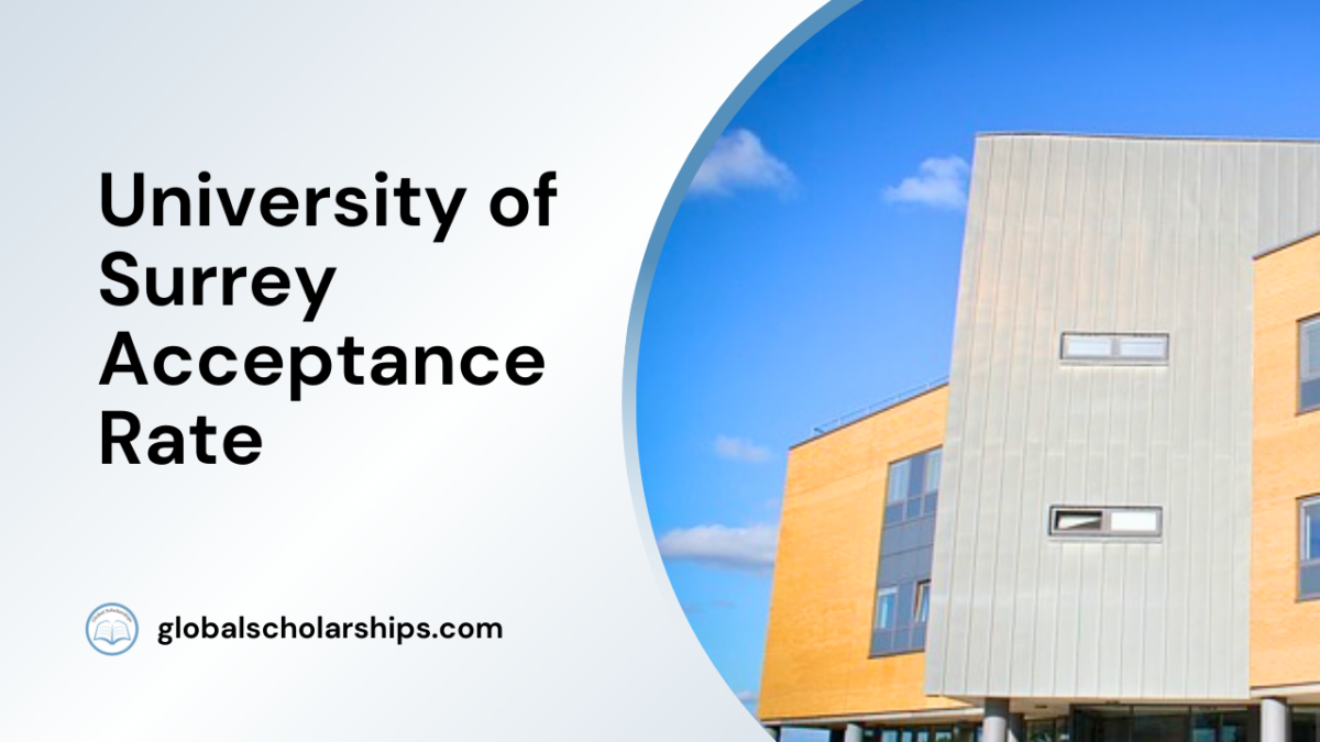 University Of York Acceptance Rate Global Scholarships University Of York Acceptance Rate Global Scholarships