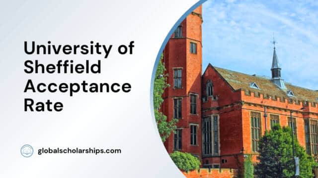 University of Sheffield Acceptance Rate