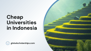 Cheap Universities in Indonesia