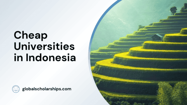 Cheap Universities in Indonesia
