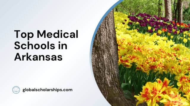Top Medical Schools in Arkansas
