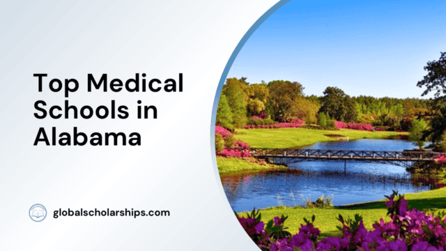 Top Medical Schools in Alabama