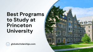 Best Programs to Study at Princeton University