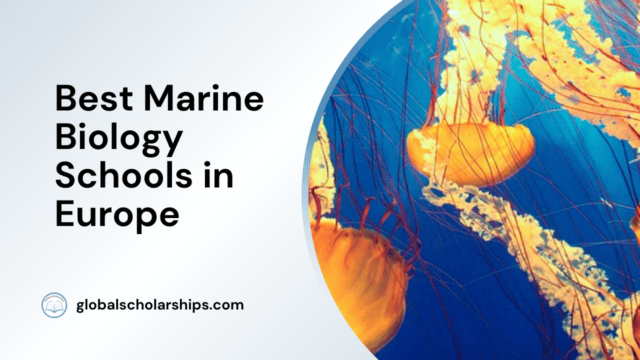 Best Marine Biology Schools in Europe