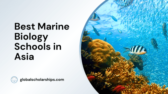 Best Marine Biology Schools in Asia