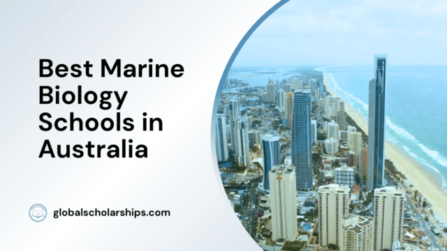 Best Marine Biology Schools in Australia