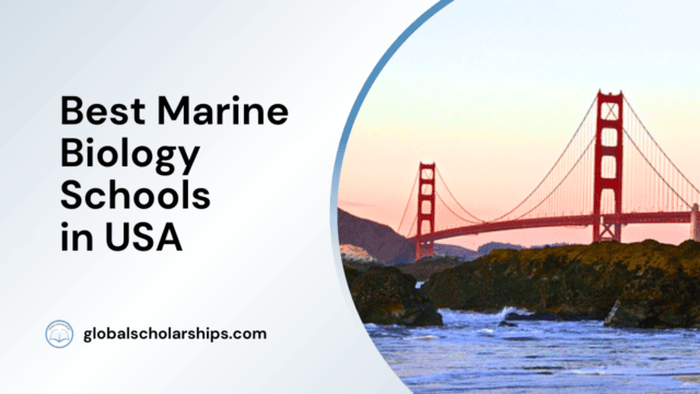 Best Marine Biology Schools in USA