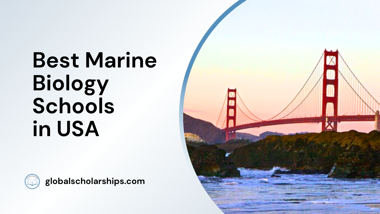5 Best Marine Biology Schools in the USA Global Scholarships