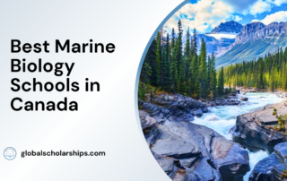 Best Marine Biology Schools in Canada