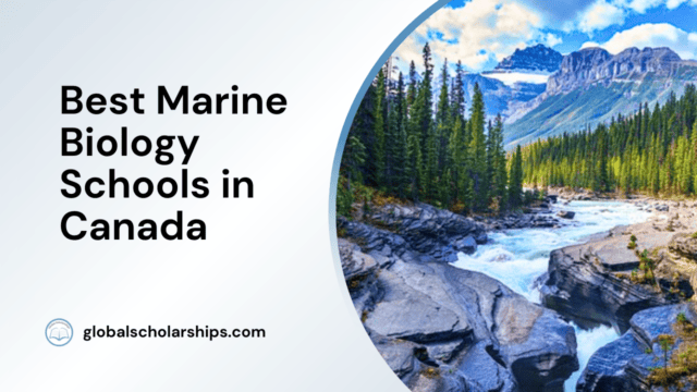 Best Marine Biology Schools in Canada