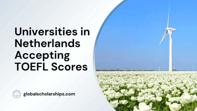 Universities in Netherlands Accepting TOEFL Scores
