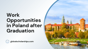 Work Opportunities in Poland after Graduation