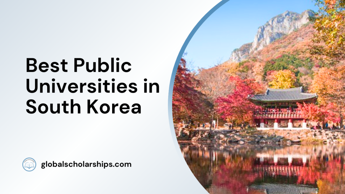are all public universities in germany free
