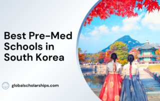 Best Pre-Med Schools in South Korea