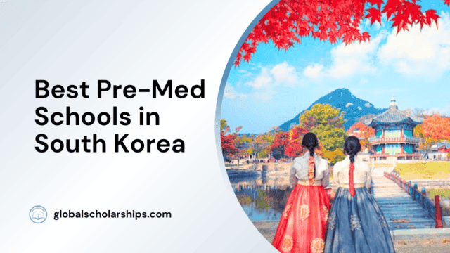 Best Pre-Med Schools in South Korea