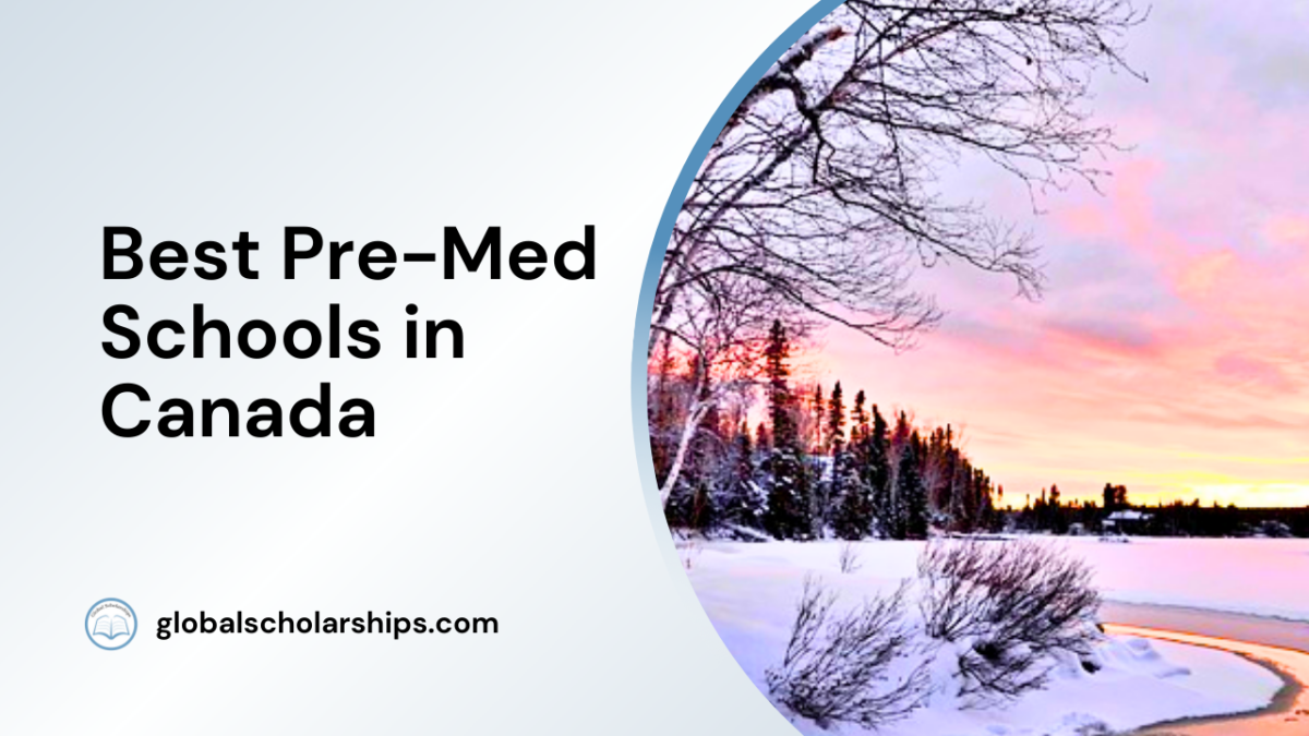 12 Free Medical Schools with No Tuition Global Scholarships