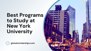 Best Programs to Study at New York University