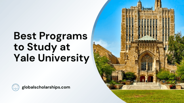 Best Programs to Study at Yale University