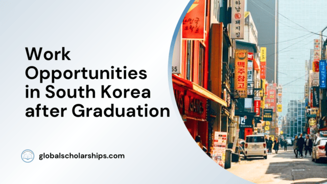 Work Opportunities in South Korea after Graduation