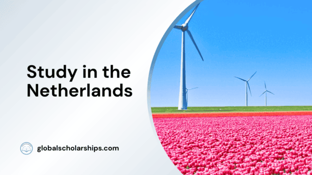 Study in the Netherlands