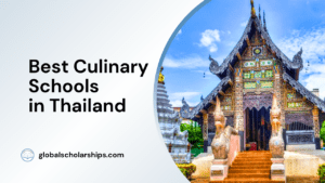 Best Culinary Schools in Thailand