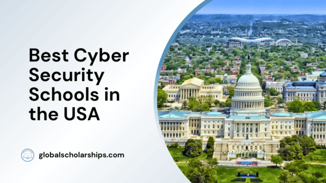 Best Cyber Security Schools in the USA