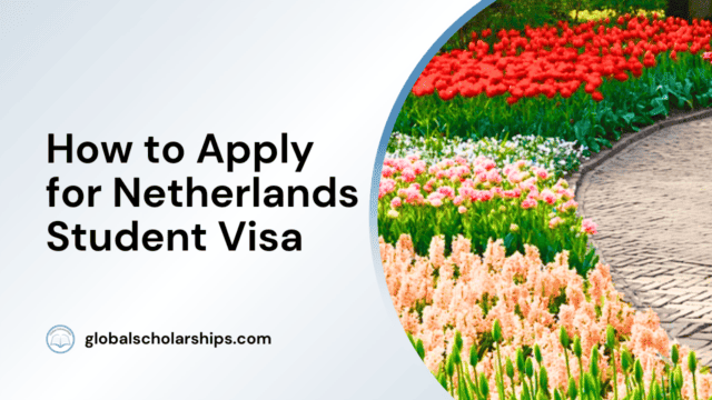 How to Apply for Netherlands Student Visa