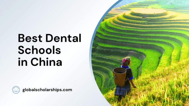 Best Dental Schools in China