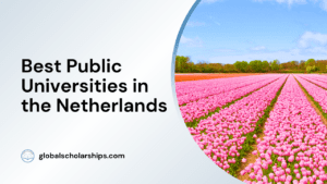Best Public Universities in the Netherlands