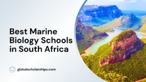 Best Marine Biology Schools in South Africa