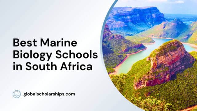 Best Marine Biology Schools in South Africa