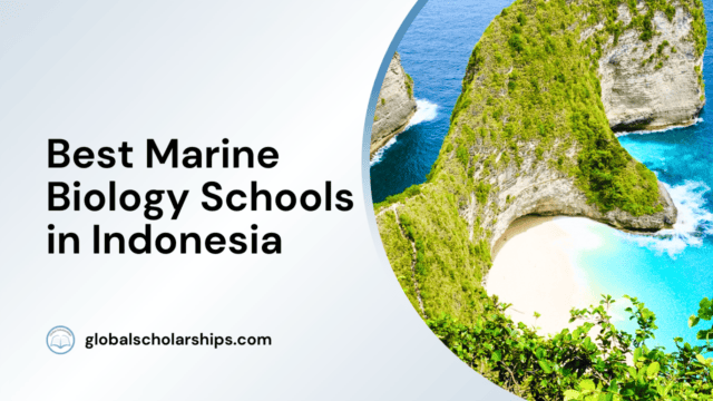 Best Marine Biology Schools in Indonesia