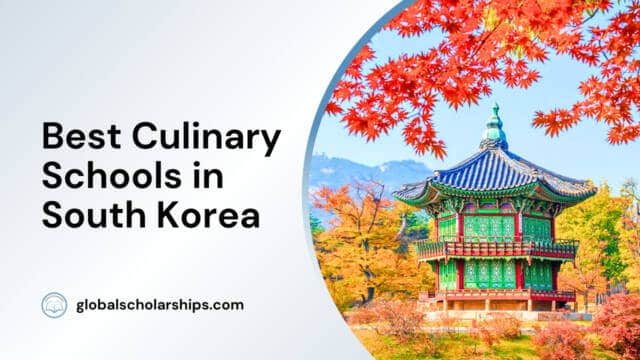 Best Culinary Schools in South Korea