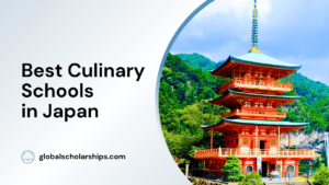 Best Culinary Schools in Japan
