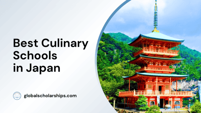 Best Culinary Schools in Japan