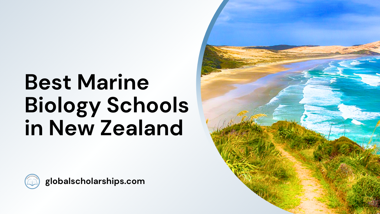5 Best Marine Biology Schools in New Zealand - Global Scholarships