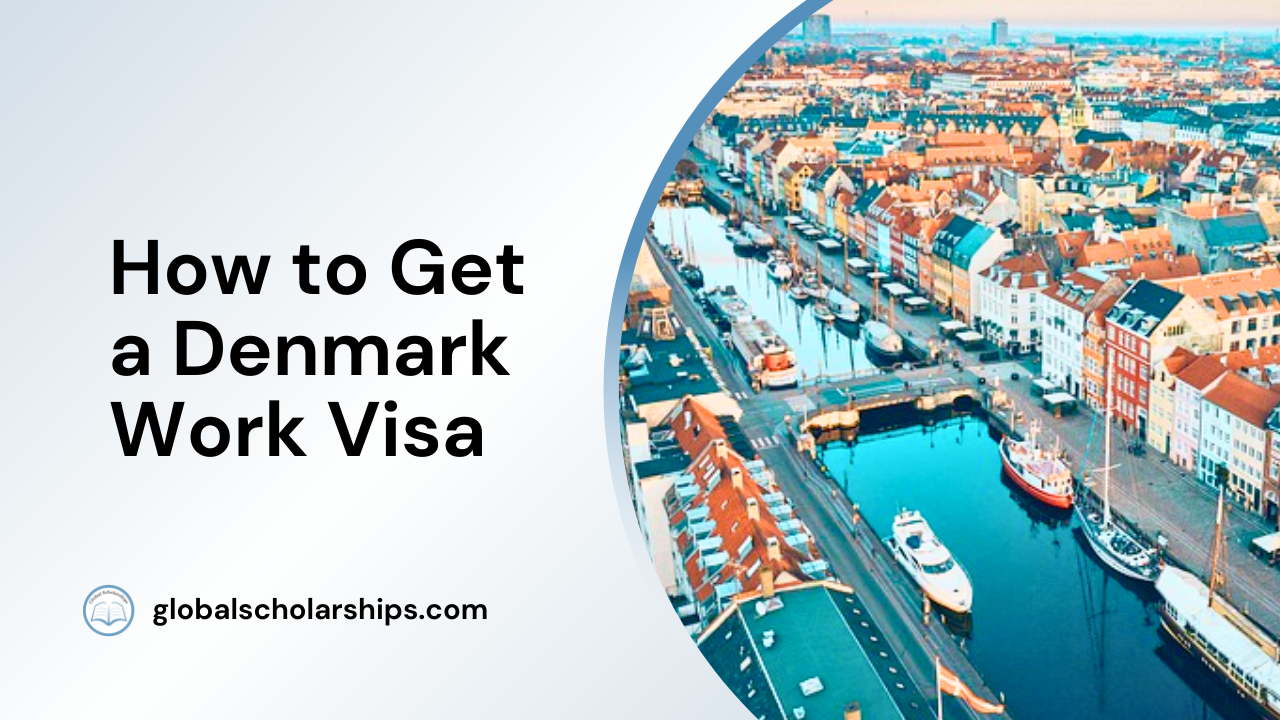 How to Get a Danish Work Visa (10 Steps) Global Scholarships