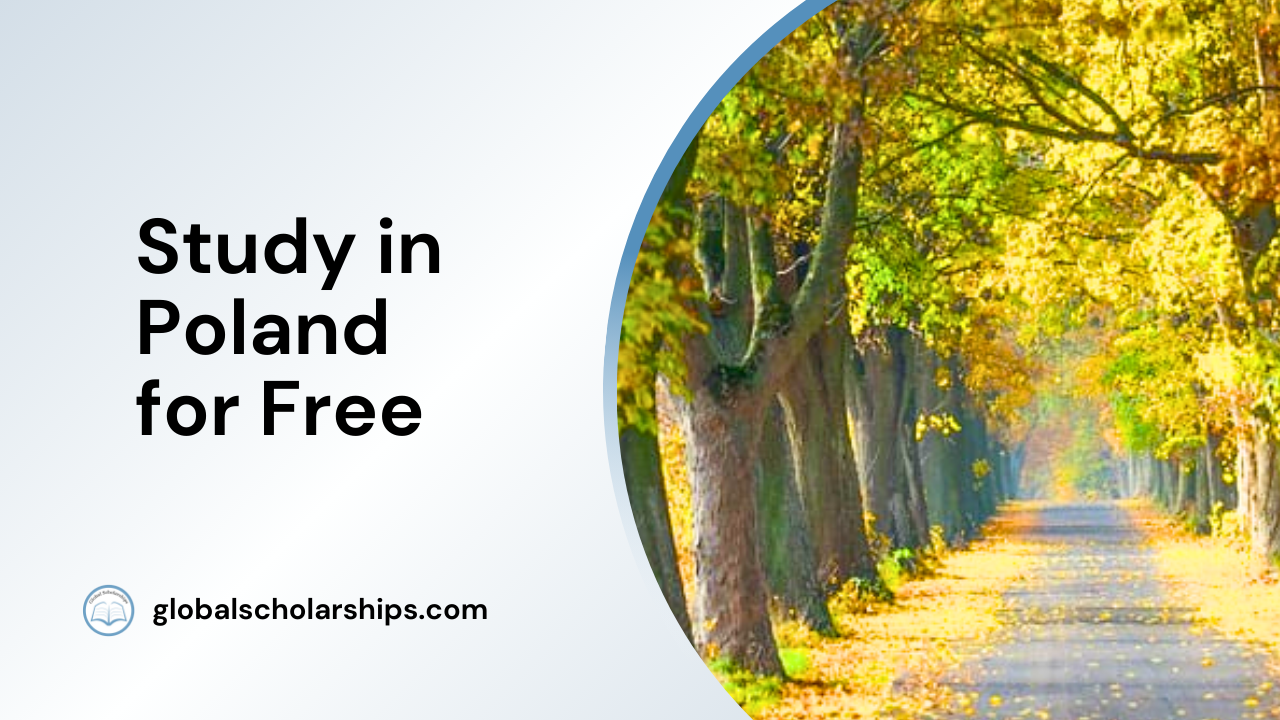 Study in Poland for Free