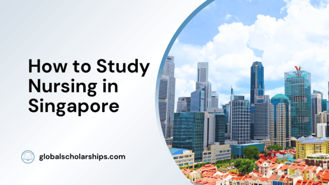 How to Study Nursing in Singapore