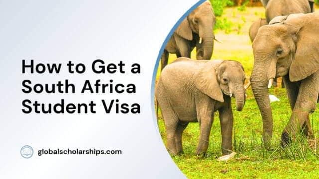 How to Get a South Africa Student Visa